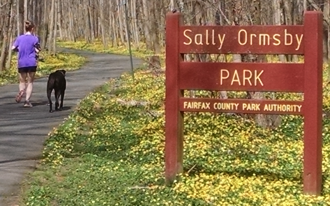Freshening Up the Sally Ormsby Trail