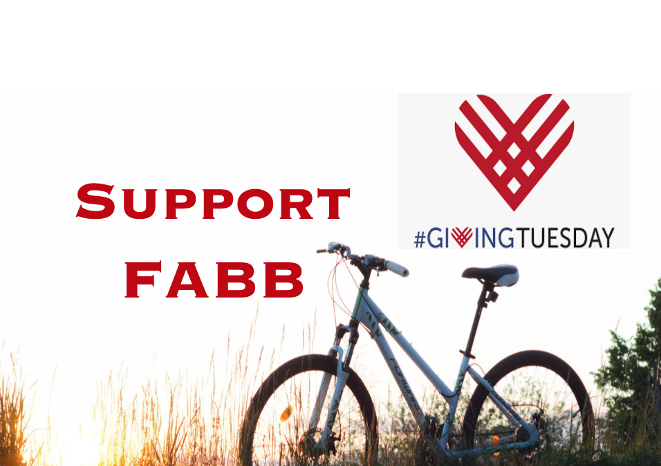 Meet the Match to Support FABB!