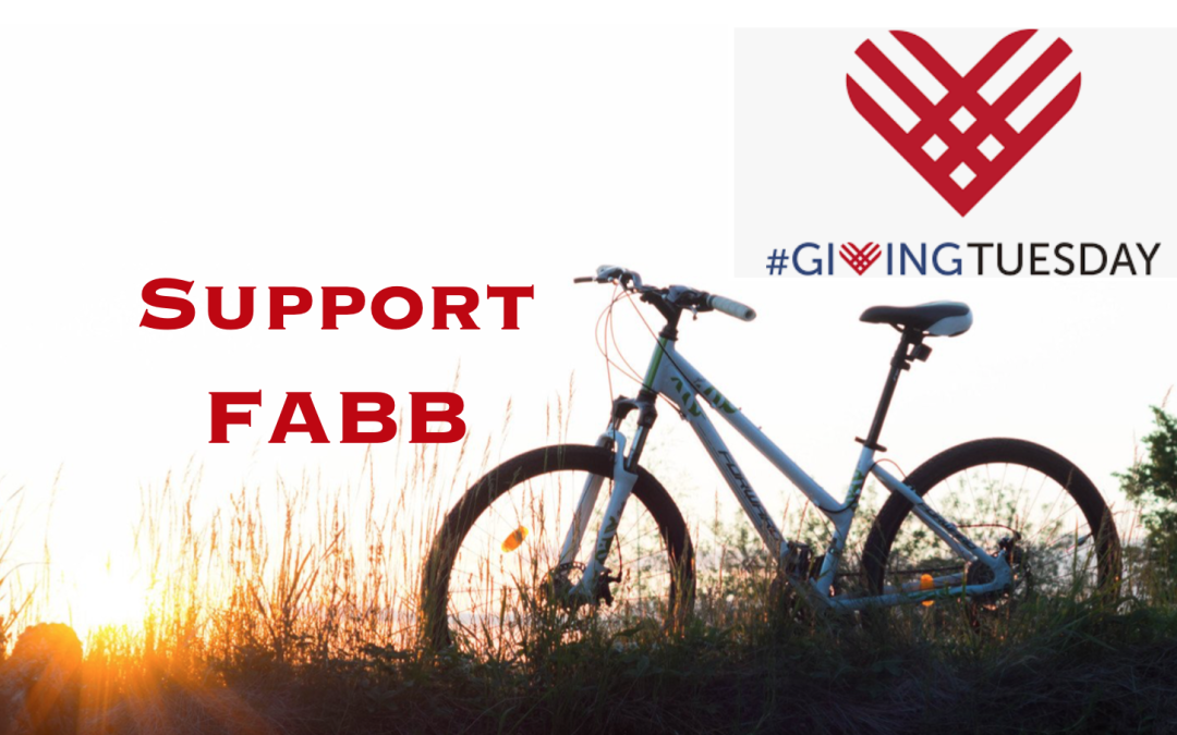 Support FABB with Meta Match on #GivingTuesday