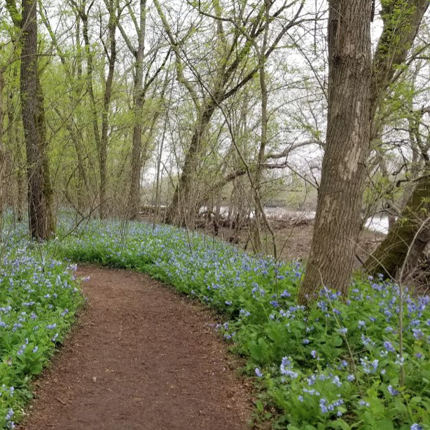 Help Shape the Future of Northern Virginia’s Trails